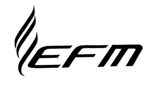 EFM logo