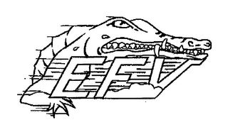 EFV logo