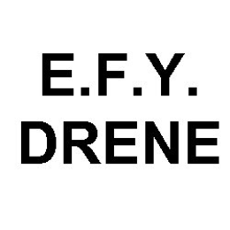E.F.Y. DRENE logo