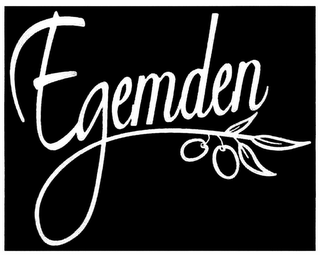 EGEMDEN logo