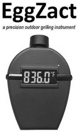 EGGZACT A PRECISION OUTDOOR GRILLING INSTRUMENT 836.0°F logo