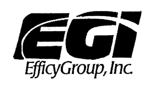 EGI EFFICY GROUP, INC. logo