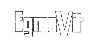 EGMO VIT logo