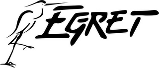 EGRET logo