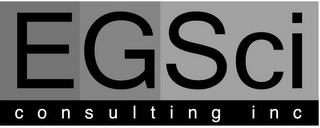 EGSCI CONSULTING INC logo