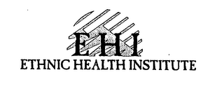 EHI ETHNIC HEALTH INSTITUTE logo