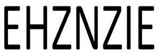 EHZNZIE logo