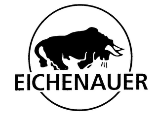 EICHENAUER logo