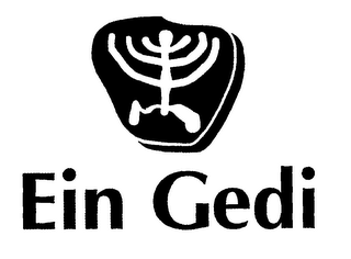 EIN GEDI logo