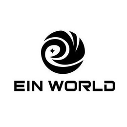 EIN WORLD logo