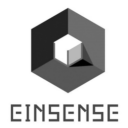 EINSENSE logo