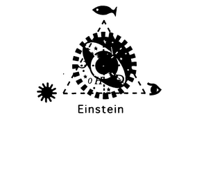 EINSTEIN logo