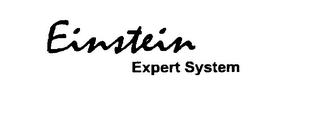 EINSTEIN EXPERT SYSTEM logo