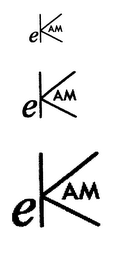 EKAM logo