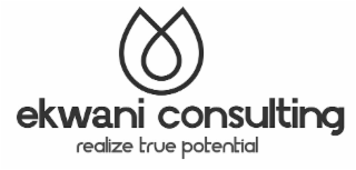 EKWANI CONSULTING REALIZE TRUE POTENTIAL logo