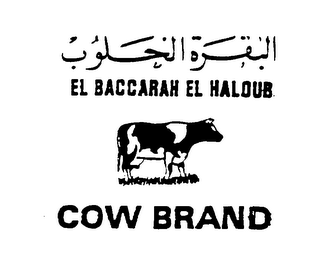 EL BACCARAH EL HALOUB COW BRAND logo