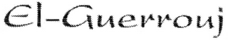 EL-GUERROUJ logo