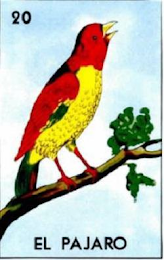 EL PAJARO 20 logo