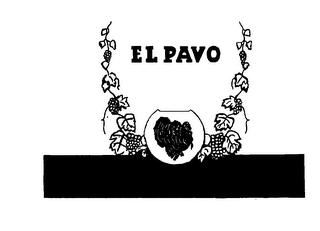 EL PAVO logo