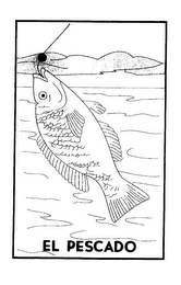 EL PESCADO logo