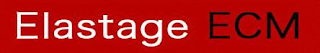 ELASTAGE ECM logo