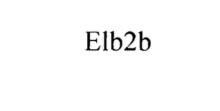 ELB2B logo