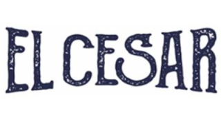 ELCESAR logo