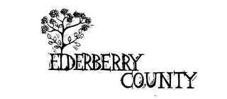 ELDERBERRY COUNTY logo