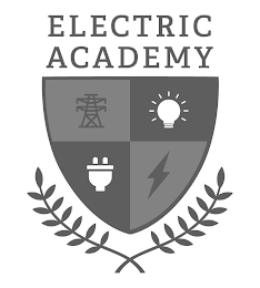 ELECTRIC ACADEMY logo