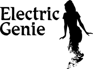 ELECTRIC GENIE logo