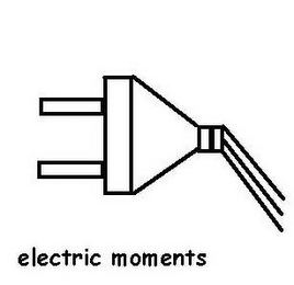 ELECTRIC MOMENTS logo