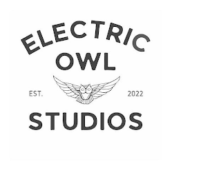 ELECTRIC OWL EST. 2022 STUDIOS logo