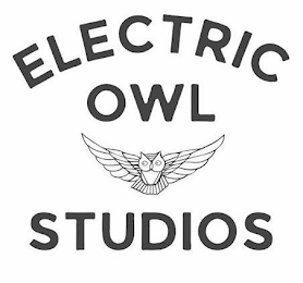 ELECTRIC OWL STUDIOS logo
