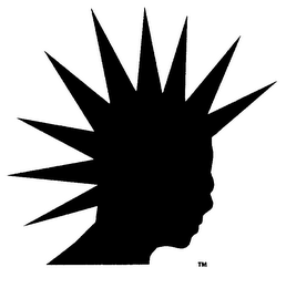 ELECTRIC RADIO GIRL STUDIOS logo