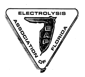 ELECTROLYSIS ASSOCIATION OF FLORIDA EAF logo
