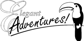 ELEGANT ADVENTURES! logo