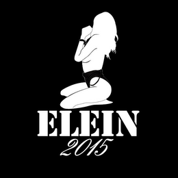 ELEIN 2015 logo