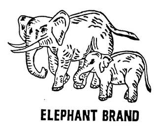 ELEPHANT BRAND logo
