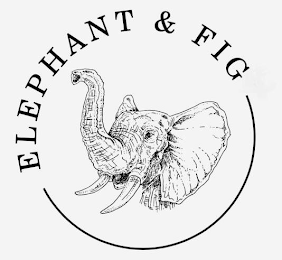 ELEPHANT & FIG logo