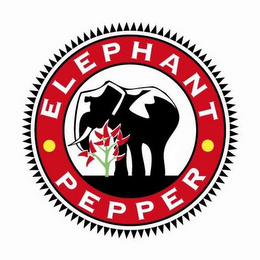 ELEPHANT PEPPER logo