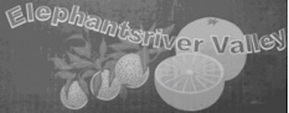 ELEPHANTSRIVER VALLEY logo