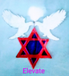 ELEVATE logo