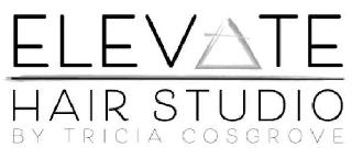 ELEVATE HAIR STUDIO BY TRICIA COSGROVE logo