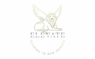 ELEVATE SOARING TO NEW HEIGHTS logo