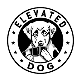 ELEVATED DOG logo