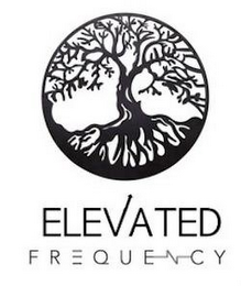 ELEVATED FREQUENCY logo