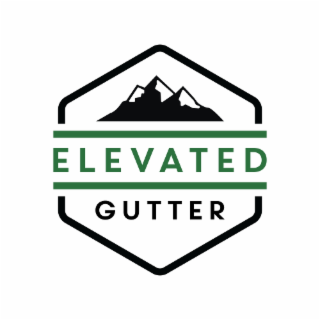 ELEVATED GUTTER logo