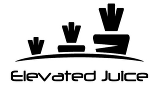 ELEVATED JUICE logo