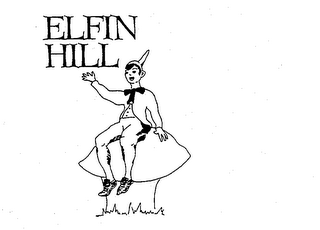 ELFIN HILL logo