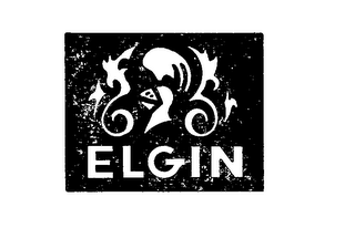 ELGIN logo